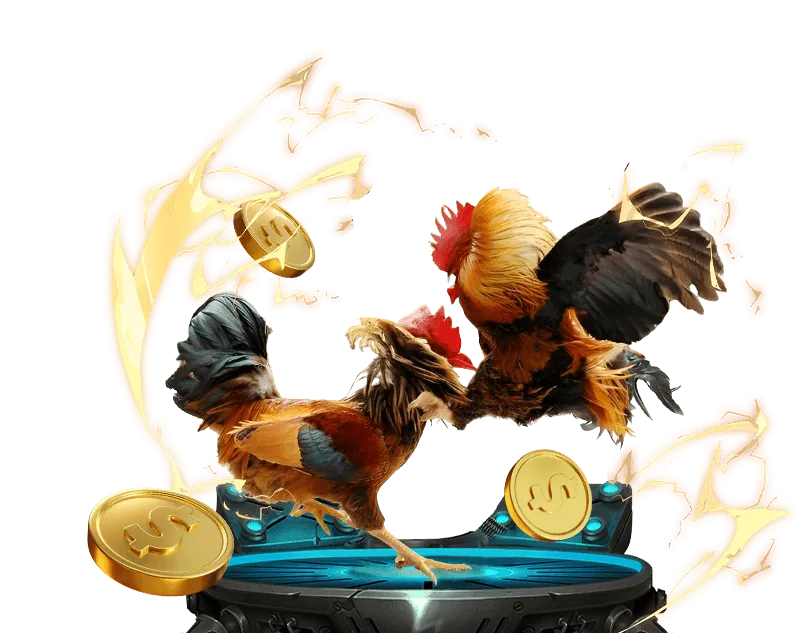 Hình ảnh quy trình đăng ký 123hero